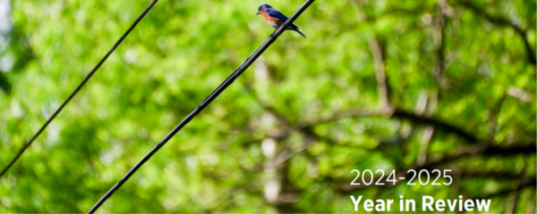 Year in Review Cover