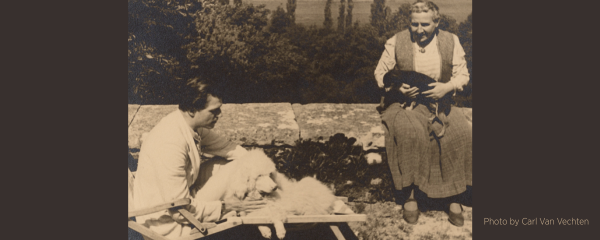 photo of Gertrude Stein