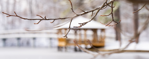 Gazebo in the snow