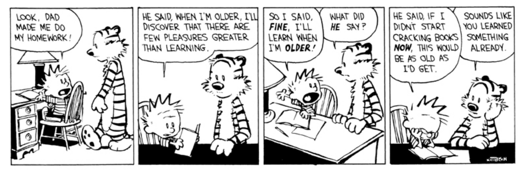 Calvin and Hobbes cartoon