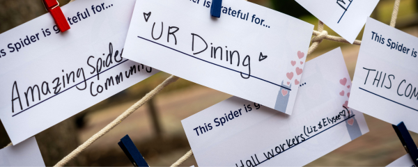 This Spider is grateful notes